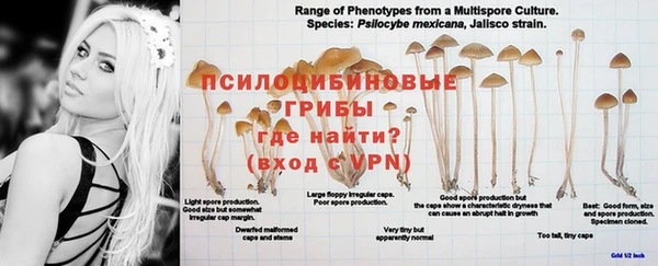 бутират Белокуриха